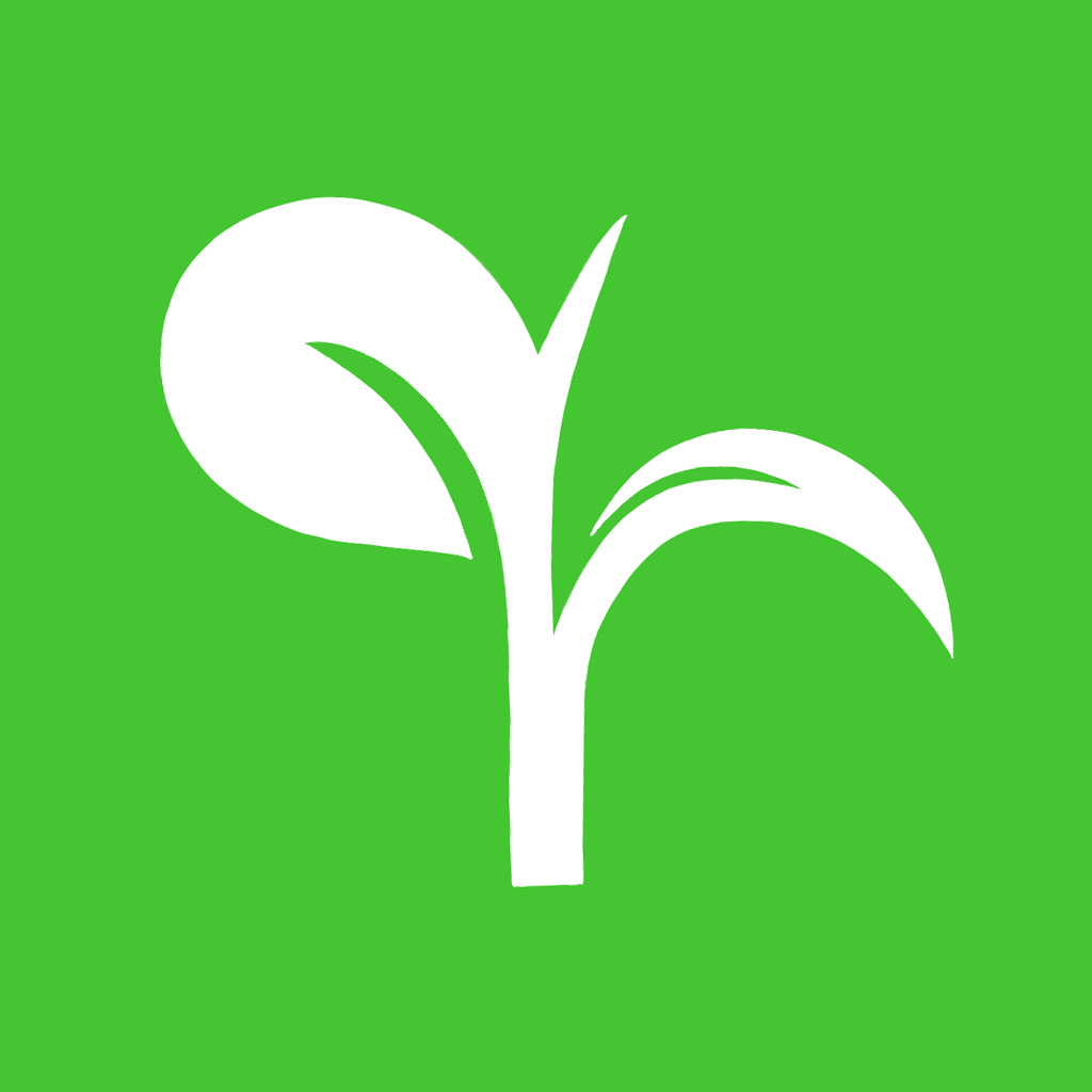 清禾 Logo